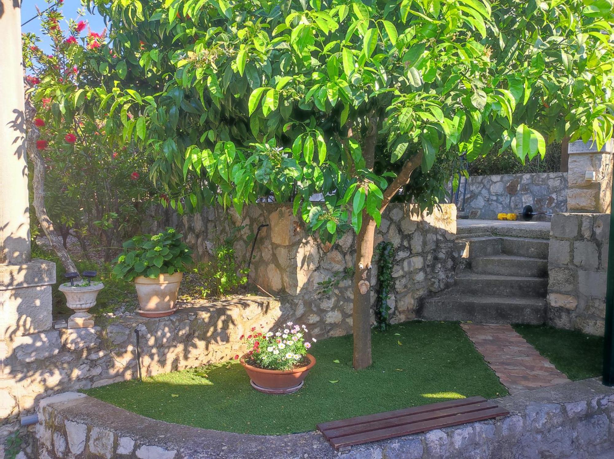 Apartament Karmela